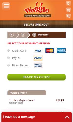 Payment options possible in Waggle's ecommerce (credit card, PayPal, Direct Deposit)